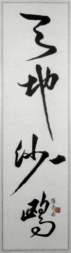 狮岛书友 陈哥侨 - 中国书法 行书 杜甫 旅夜书怀 句 天地一沙鸥 - 条幅